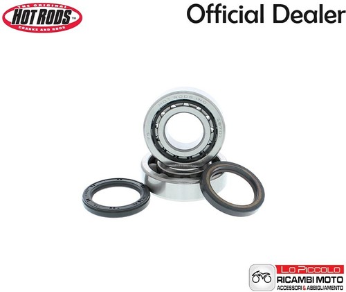 K095 kit cuscinetti - e, paraoli